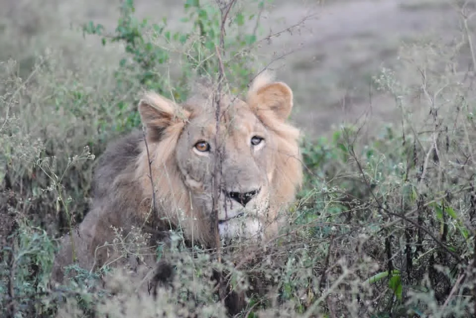 Jacob and Tibu crossing Kazinga Channel in Queen Elizabeth National Park