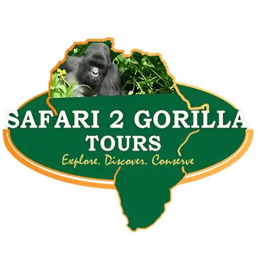 Safari 2 Gorilla Tours