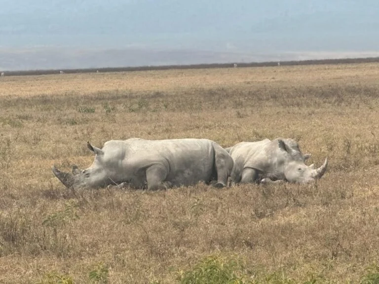 ngorongoro-crater-safari-tanzania