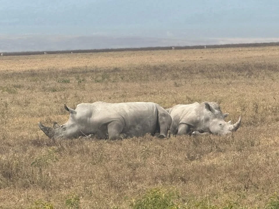 ngorongoro-crater-safari-tanzania